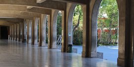 UNA INVITACIÓN A REZAR POR NUESTRA IGLESIA