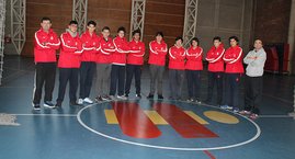 Copa San Ignacio, Campeonato Voleibol Varones