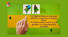 Cuidemos la Fauna Chilena