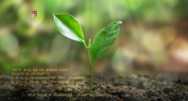 "Cristo el Señor Resucitó, su amor fue más fuerte que la muerte"