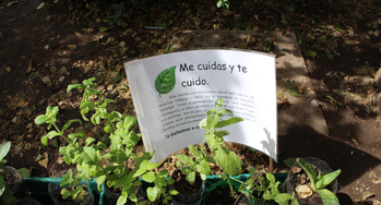 Proyecto Maceteros Autorregantes - 5° Básicos