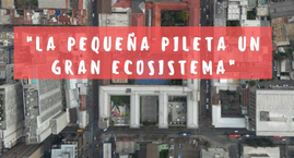 Proyecto "La pequeña Pileta, un gran Ecosistema"