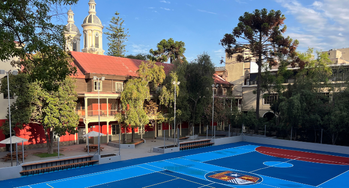 Nueva actualización RICE