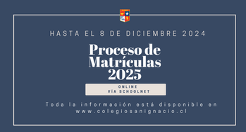 Proceso de Matrícula y Colegiatura 2025