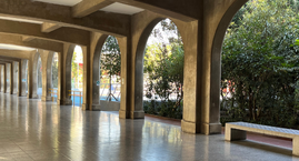 Acerca del miércoles 11 de septiembre 2024