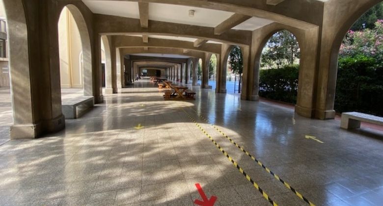 Plan de Trabajo Académico para los próximos días