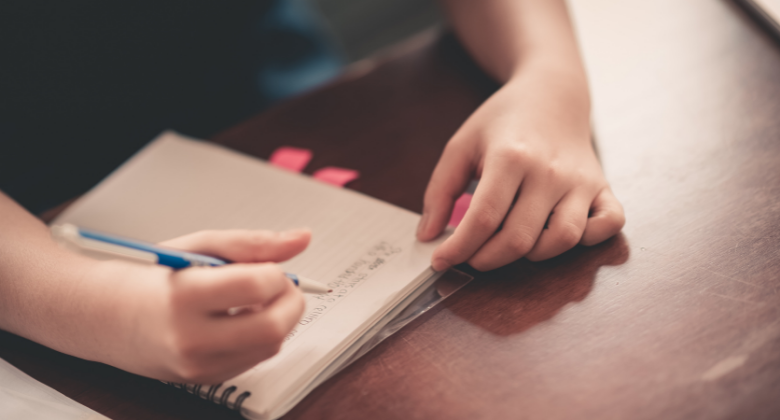 Postulación Programa de Apoyo Pedagógico para estudiantes que presentan Necesidades Educativas Especiales. (NEE)