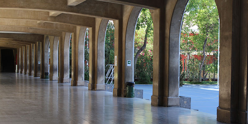 UNA INVITACIÓN A REZAR POR NUESTRA IGLESIA